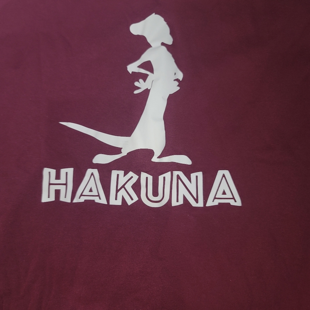 💗Kids Shirt Size M 10/12 Lion King Shirt💗 - Picture 3 of 4